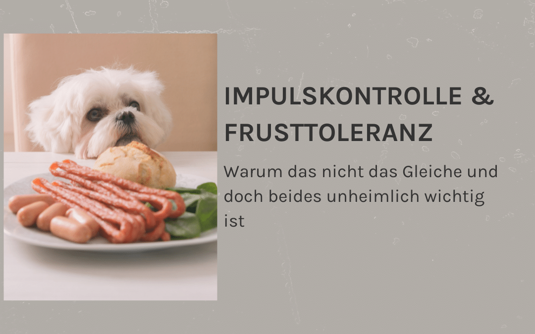 Impulskontrolle und Frustrationstoleranz – Warum das nicht das Gleiche und doch beides sehr wichtig ist