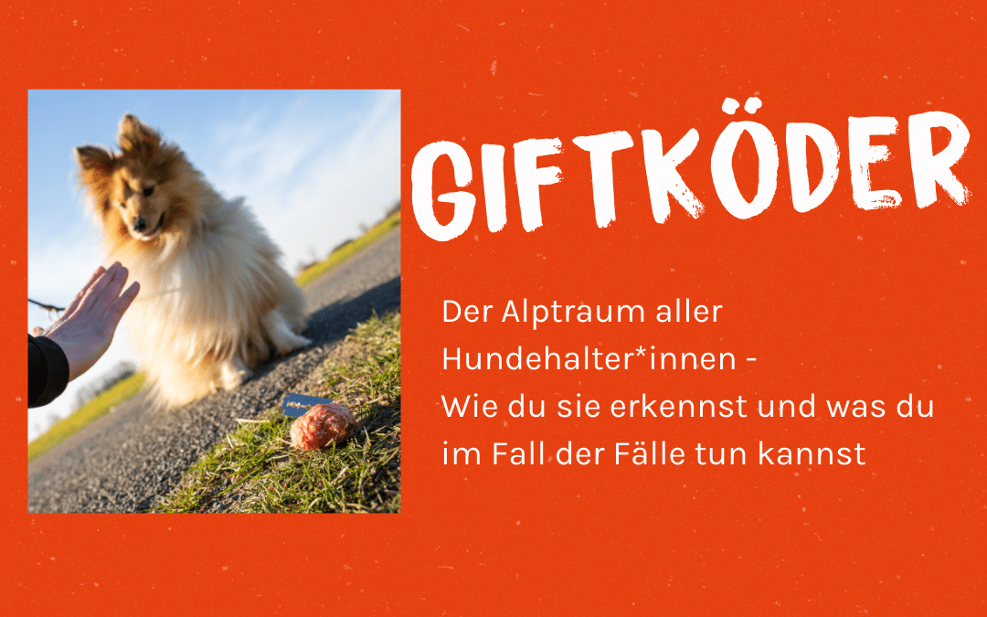 Giftköderschutz für unsere Hunde