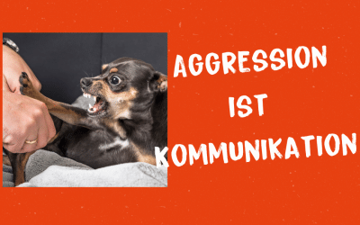 Aggressiver Hund: Aggression ist auch Kommunikation