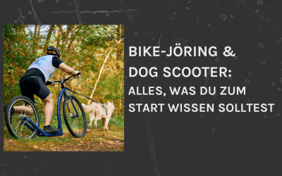 Bike-Jöring & Dog-Scooter – Ein Überblick für Einsteiger