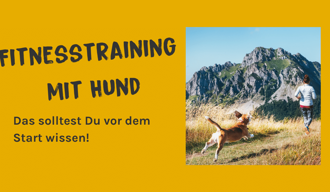 Fitness mit Hund: Der Wald rund um Elmshorn als Fitnessstudio für Hund & Halter*in