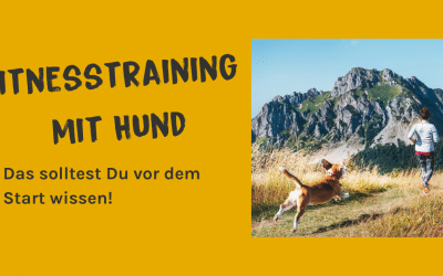 Fitness mit Hund: Der Wald rund um Elmshorn als Fitnessstudio für Hund & Halter*in