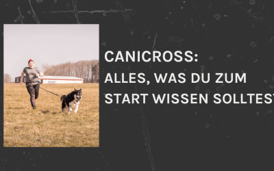 Canicross – Ein Überblick für Einsteiger