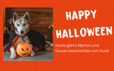 Happy Halloween – Gruselige Stories rund um den Hund