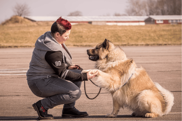 Hundetraining Nina Hammig Hundeschule Itzehoe Elmshorn