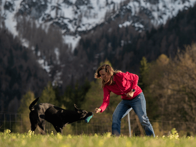 Beschäftigung mit Hund in Itzehoe und elmshorn
