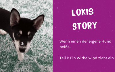 Loki’s Story – Ein Wirbelwind zieht ein