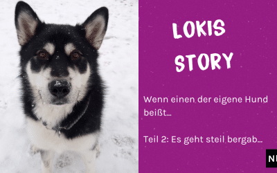 Lokis Story – Es geht steil bergab…