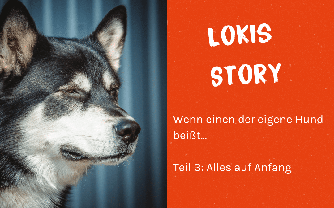 Lokis Story – Alles auf Anfang