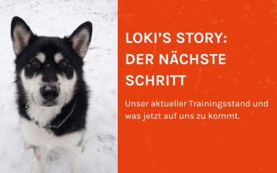Loki’s Story – Der nächste Schritt