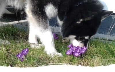 Lokis Story – Alles auf Anfang?