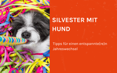 Silvester mit Hund 2025
