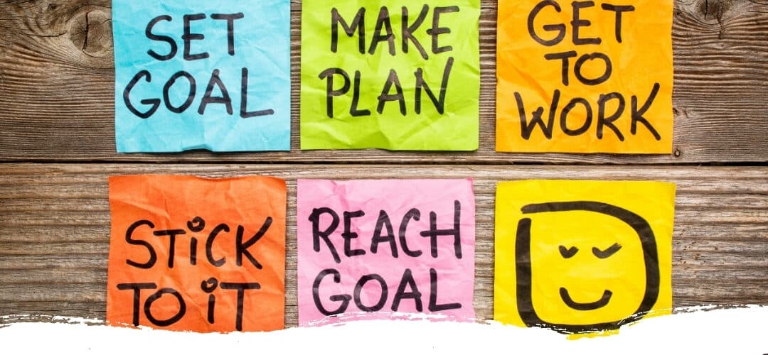 3 Trainingsziele, die du dir für 2026 nicht vornehmen solltest – und welche 3 dich und deinen Hund wirklich weiterbringen