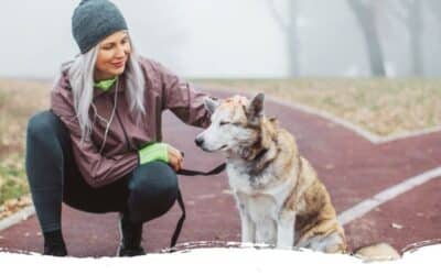Fitnesstraining mit Hund: Alle Infos für deinen perfekten Start