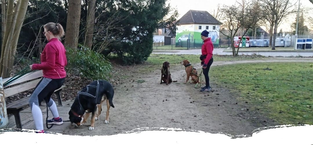 FITNESS MIT HUND: DEINE ZIELE – DEIN TRAINING – DEIN WEG