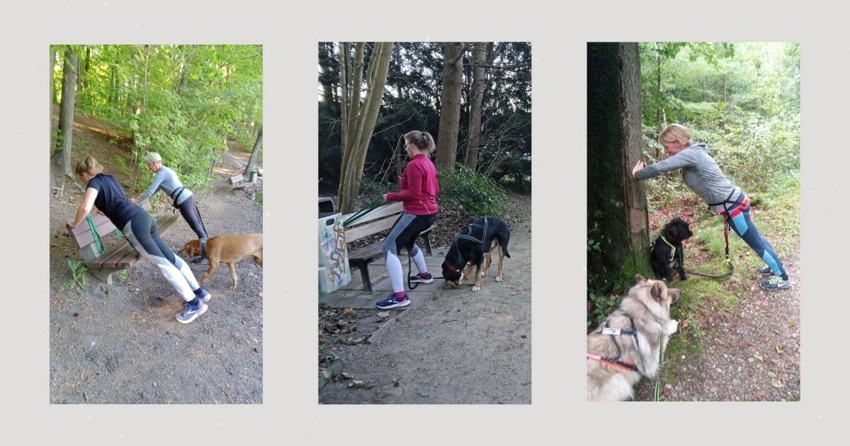 Fitnesstraining mit Hund - Ein Trainingseinblick
